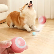 Electric Smart Dog Ball Toys